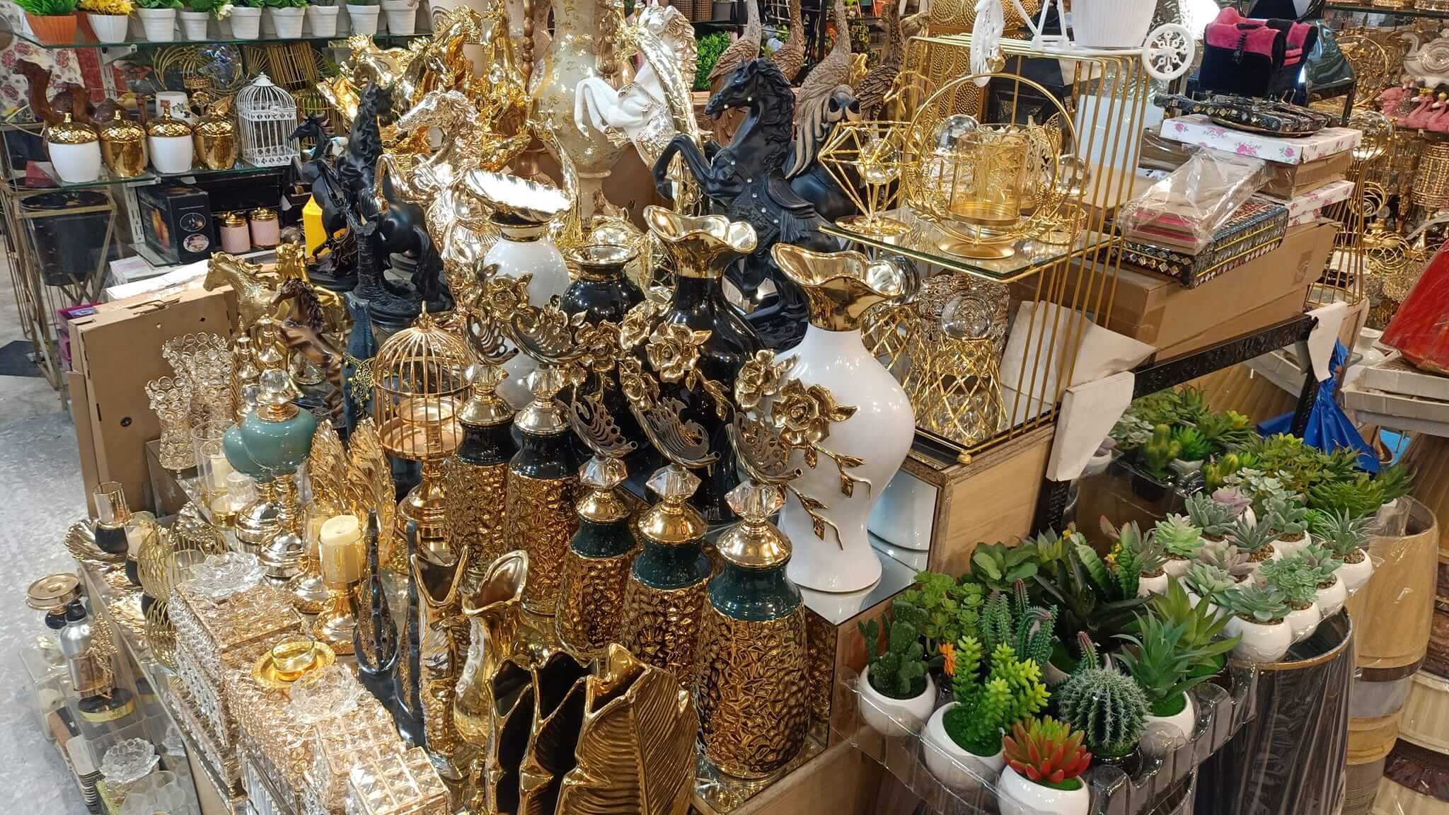 372023769_693093112859002_325142557516381512_n (1)