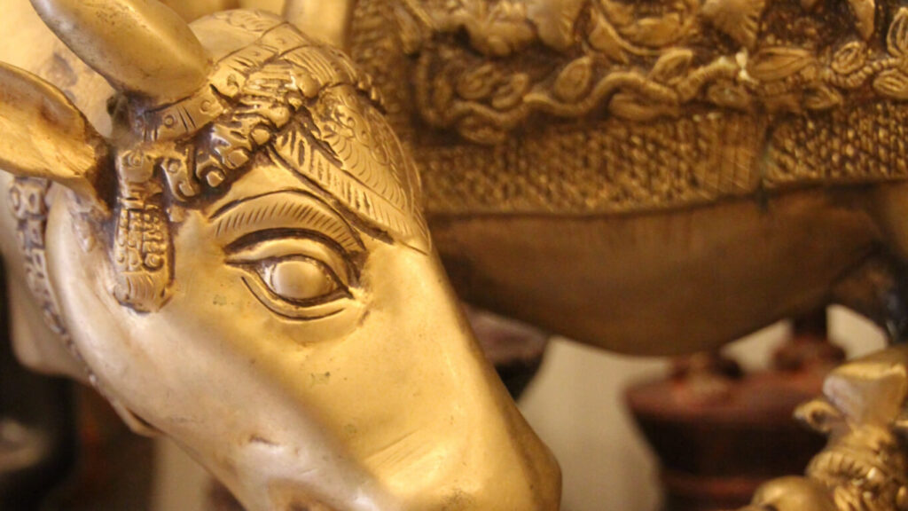 wallpaperflare.com_wallpaper (5) (1)